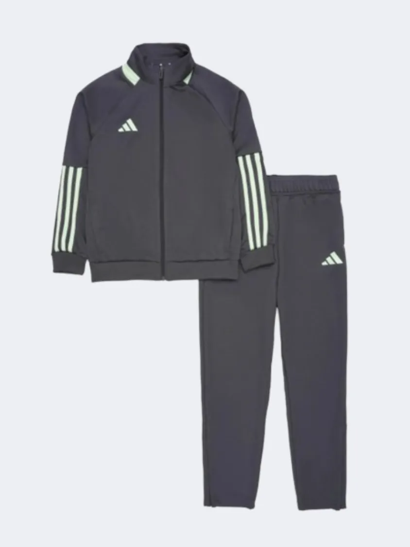 Adidas Sere Kids Boys Sportswear Suit Grey Spark/White