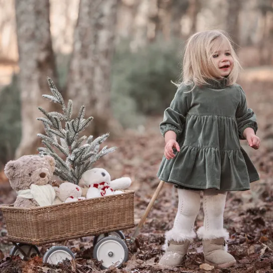 Green Velvet Ruffle Collar Dress