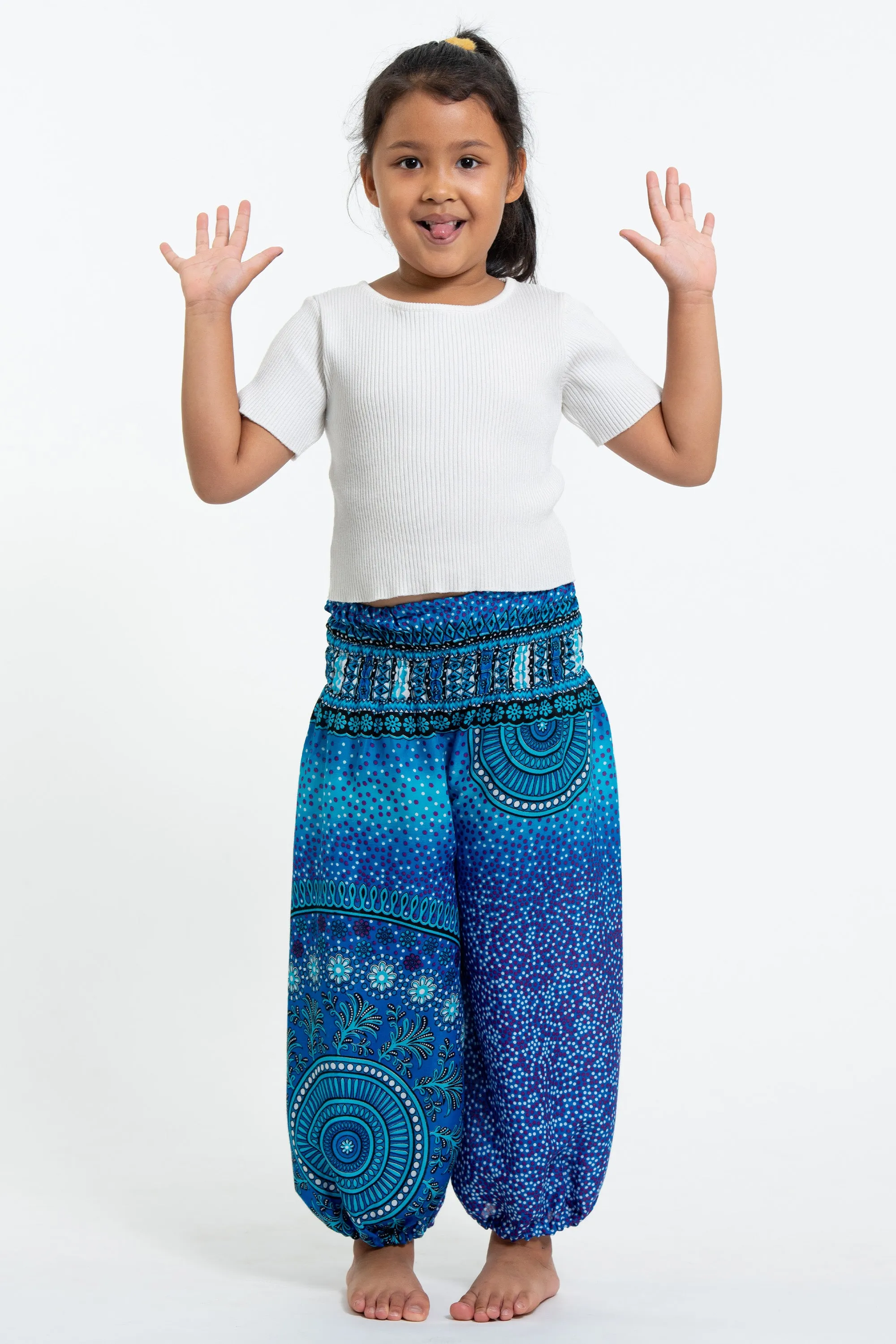 Tribal Chakras Kids Harem Pants in Blue